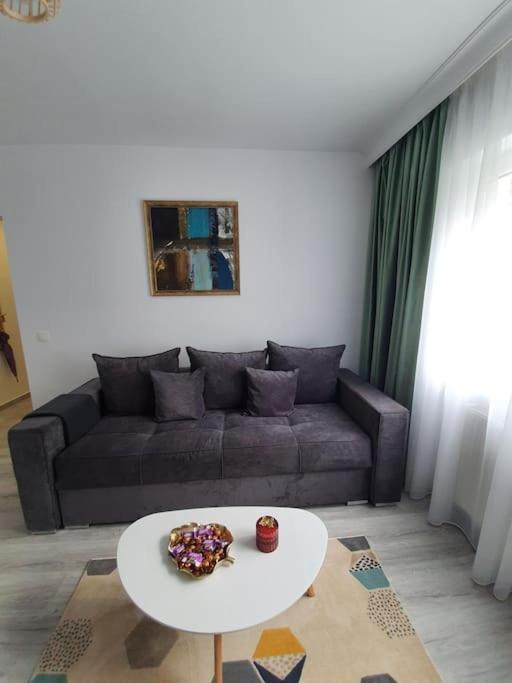 Apartament Ama Сибиу Экстерьер фото