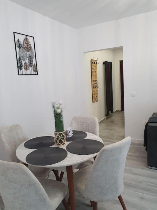 Apartament Ama Сибиу Экстерьер фото