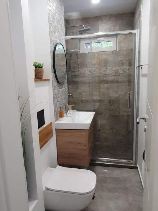 Apartament Ama Сибиу Экстерьер фото