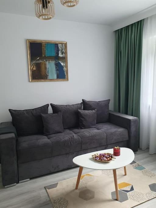 Apartament Ama Сибиу Экстерьер фото