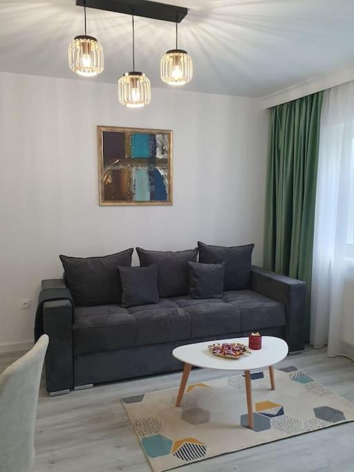 Apartament Ama Сибиу Экстерьер фото